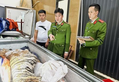 Phòng Cảnh sát kinh tế triệt xóa đường dây buôn bán động vật hoang dã trái phép tại xã Xuân Lập, thu giữ 2 cá thể hổ đã bỏ nội tạng, tổng trọng lượng gần 400kg. 