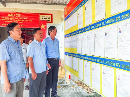 Trưởng Ban Tuyên giáo và Dân vận Tỉnh ủy Hồ Trung Việt (giữa) kiểm tra bầu cử tại ấp Lam Điền, xã Gành Hào.