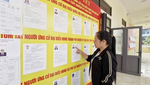 Cử tri Nguyễn Thị Liền (dân tộc Mường), thôn Đồng Vỡ, xã Phú Cát. Ảnh: M.Thư
