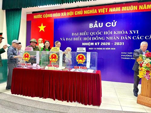 Phó Chủ tịch Liên hiệp Hội Người Việt Nam tại Nhật Bản, Chủ tịch Hiệp hội Người Việt Nam vùng Kansai Lê Thị Thương (áo dài xanh) trực tiếp về nước tham gia bầu cử