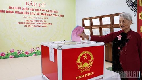 Cử tri Phan Thị Thao (sinh năm 1945), 60 năm tuổi Đảng là người đầu tiên bỏ phiếu bầu cử tại Tổ dân phố Hương Trung, phường Hương Trà, thành phố Đà Nẵng.