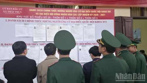 Cán bộ, chiến sĩ Hải đội Biên phòng 2 xem danh sách người ứng cử tại khu vực bỏ phiếu số 20, xã Thái Thụy (tỉnh Hưng Yên).