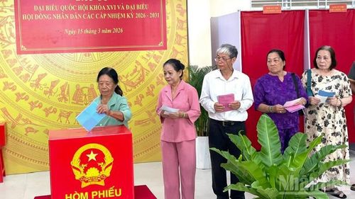 Cử tri thực hiện quyền và nghĩa vụ của mình.