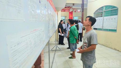 Cử tri đọc tiểu sử tóm tắt của các ứng cử viên.