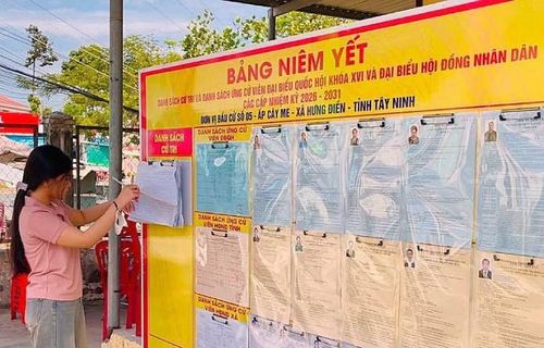  Cử tri Nguyễn Thị Mỹ Chi, xã Hưng Điền lần đầu tiên đi bầu cử. 