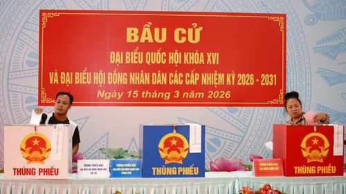  Tại nhiều phường, xã trên địa bàn tỷ lệ cử tri bỏ phiếu đã đạt 100%. Ảnh: THẾ ANH 