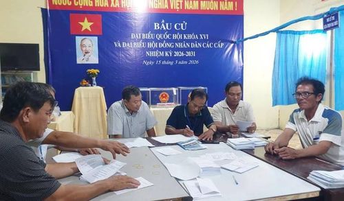 Cán bộ Tổ bầu cử số 3 thuộc đơn vị bầu cử số 22 (Xã Tân Trụ, Vàm Cỏ, Nhật Tảo và phường Tân An) đang kiểm phiếu