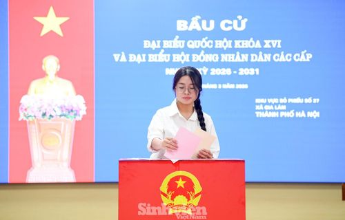 Trần Hoài Minh (20 tuổi) đi bỏ phiếu cùng các bạn trong phòng ký túc xá. “Sáng nay, cả phòng cùng dậy sớm đi bầu cử. Cảm giác khá đặc biệt vì mình đang trực tiếp tham gia lựa chọn đại biểu”, Hoàng chia sẻ.