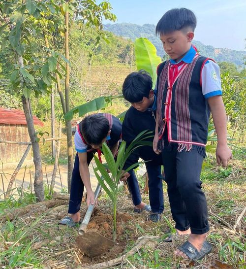 Học sinh Trường Phổ thông Dân tộc bán trú Tiểu học &amp; THCS Trà Nam mang cây giống từ nhà đến trồng tại vườn trường. Ảnh: NTCC