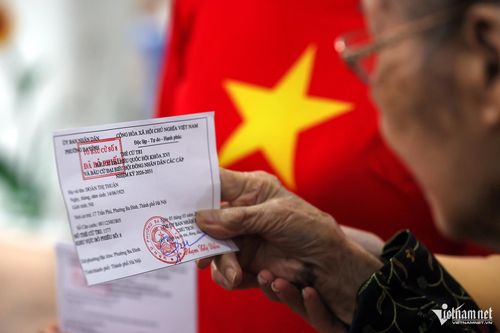 Cụ Thuận cầm trên tay tấm thẻ cử tri đến điểm bầu cử số 8 phường Ba Đình