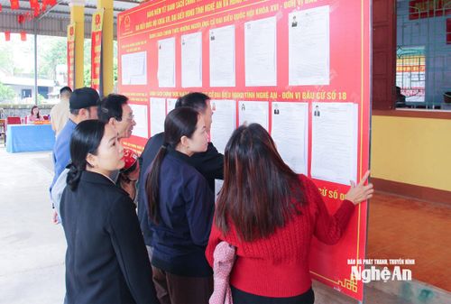 Cử tri xã Tam Hợp tìm hiểu tiểu sử tóm tắt các ứng cử viên trước khi bỏ phiếu. Ảnh: Mai Hoa