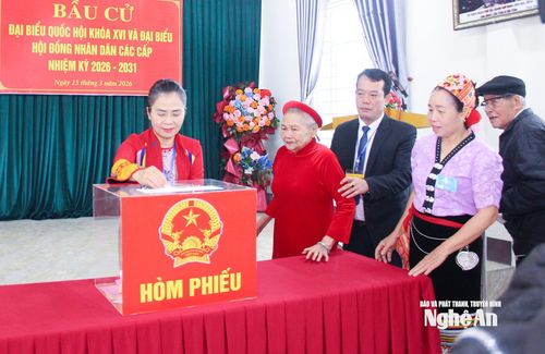 Đồng chí Võ Thị Minh Sinh - Phó Bí thư Tỉnh ủy, Chủ tịch Ủy ban MTTQ Việt Nam tỉnh, Trưởng Đoàn đại biểu Quốc hội tỉnh vinh dự là người đầu tiên thực hiện quyền, nghĩa vụ và trách nhiệm công dân, bỏ những lá phiếu đầu tiên để bầu những đại biểu Quốc hội và HĐND tỉnh khóa mới tại khu vực bỏ phiếu số 9, xã Quỳ Hợp. Ảnh: Mai Hoa