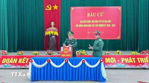  Ngay từ sớm, đông đảo cử tri là cán bộ, chiến sỹ và người dân sinh sống, làm việc trên Đặc khu Cồn Cỏ hân hoan tham gia bầu cử. (Ảnh: TTXVN phát) 
