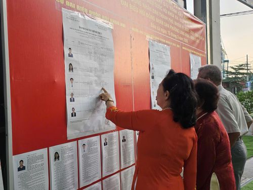 Cử tri xem thông tin các ứng cử viên tại phường Long Trường.