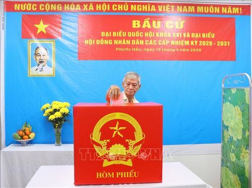 Cử tri bỏ phiếu tại khu vực bỏ phiếu số 11 (Bệnh viện Đa khoa tỉnh Vĩnh Long - phường Phước Hậu, tỉnh Vĩnh Long). Ảnh: Lê Thúy Hằng/TTXVN