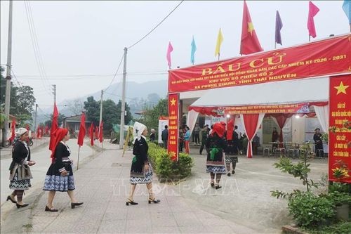 Cử tri tại điểm bầu cử số 2, xã Phong Quang, tỉnh Thái Nguyên đã tập trung, nô nức từ các ngả đường tới khu vực bầu cử để thực hiện quyền công dân của mình. Ảnh: Vũ Hoàng Giang/TTXVN