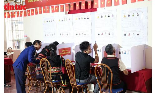 Cử tri nghiên cứu danh sách ứng cử viên trước khi thực hiện bỏ phiếu tại khu vực bầu cử.