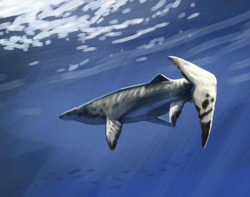 Thủy quái Pluridens imelaki khi còn sống. Ảnh: Machuky Paleoart/X