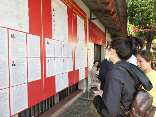 Cử tri đọc thông tin của các đại biểu trước khi đặt bút vào phiếu bầu.