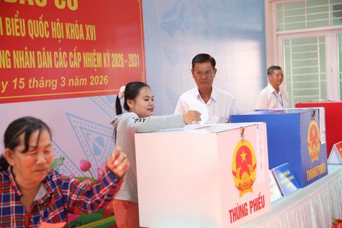 Các cử tri đặt nhiều kỳ vọng vào những lá phiếu bầu cử của mình.