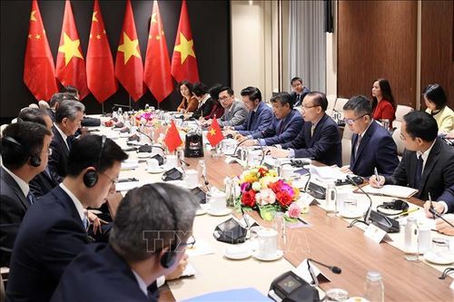 Bộ trưởng Bộ Ngoại giao Lê Hoài Trung trao đổi chiến lược với Bộ trưởng Bộ Ngoại giao Trung Quốc Vương Nghị. Ảnh: An Đăng/TTXVN