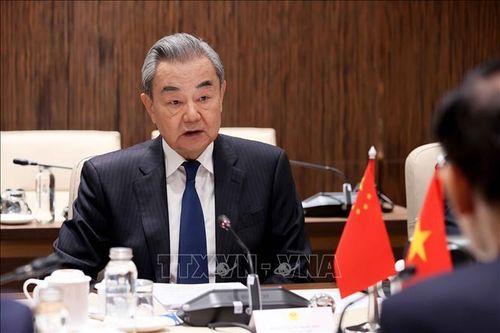 Đồng chí Vương Nghị, Ủy viên Bộ Chính trị, Bộ trưởng Bộ Ngoại giao Trung Quốc phát biểu. Ảnh: An Đăng/TTXVN
