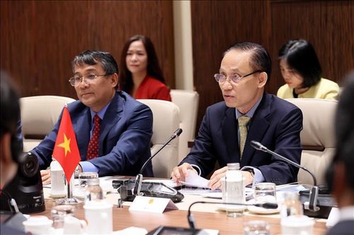 Đồng chí Lê Hoài Trung, Ủy viên Bộ Chính trị, Bộ trưởng Bộ Ngoại giao phát biểu. Ảnh: An Đăng/TTXVN