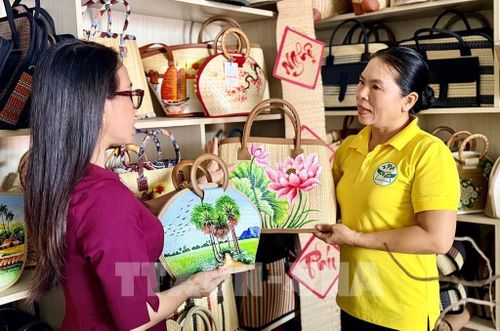 Các mẫu túi xách vẽ họa tiết hoa sen, cây Thốt Nốt khi tham quan cơ sở sản xuất của bà Thảo. Ảnh: Thanh Sang – TTXVN
