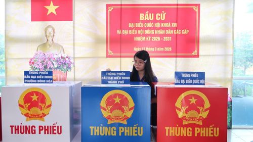 Em Vũ Nhiên Ngọc, sinh viên năm nhất, trường ĐH Kinh tế Luật (Đại học Quốc gia TPHCM) là cử tri đầu tiên bỏ phiếu tại tổ bầu cử số 20, Ký túc xá khu B - Đại học Quốc gia TPHCM
