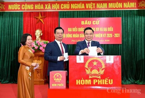 Quyền Bộ trưởng Bộ Công Thương Lê Mạnh Hùng thực hiện quyền cử tri tại Khu vực bỏ phiếu số 3, phường Phù Liễn, thành phố Hải Phòng.