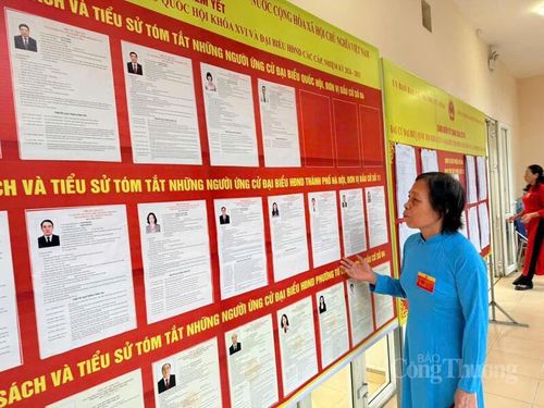 Cử tri Nguyễn Thị Mến cho biết, đây là lần thứ 10 đi bầu cử, cảm xúc vẫn vẹn nguyên như lần đầu tiên.