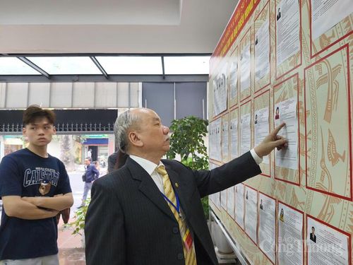 Cử tri Trịnh Sao Mai nghiên cứu rất kỹ lý lịch ứng viên trước khi tham gia bỏ phiếu. Ảnh: NH