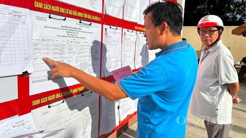 Người dân phường Thành Nhất đọc thông tin về các ứng cử viên rồi mới bỏ phiếu.