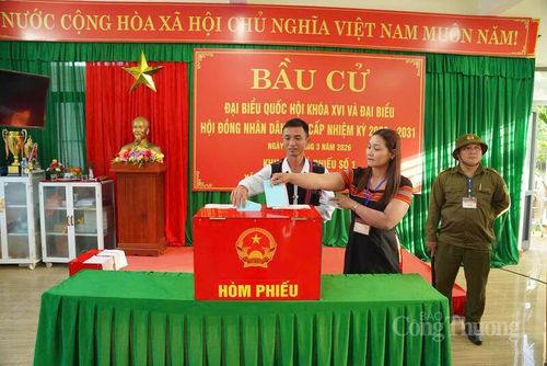 Trong cuộc bầu cử ngày 15/3, xã miền núi Trà Tân có hơn 3.900 cử tri, phần lớn người dân là đồng bào dân tộc Xơ Đăng, dân tộc Cor. Ngay từ sáng sớm, bà con đã đến các khu vực bỏ phiếu để thực hiện quyền bầu cử của mình.