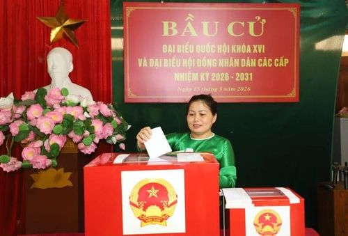 Ngoài tổ chức tổng vệ sinh môi trường, quét dọn đường thôn ngõ xóm, biểu diễn văn nghệ trước và trong ngày bầu cử, Chi hội Phụ nữ thôn Giàng Vìn đã vận động 100% cử tri là hội viên phụ nữ mặc trang phục truyền thống đi bầu cử, hoặc tham gia công tác tại khu vực bỏ phiếu.