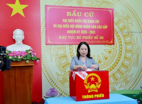 Bí thư Trung ương Đảng, Phó Chủ tịch nước Cộng hòa Xã hội chủ nghĩa Việt Nam, Phó Chủ tịch Hội đồng Bầu cử quốc gia Võ Thị Ánh Xuân bỏ lá phiếu đầu tiên.