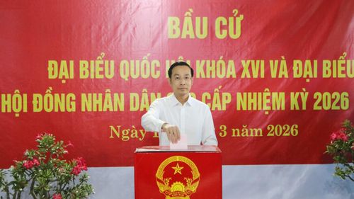 Phó Bí thư Thường trực Tỉnh ủy, Chủ tịch HĐND tỉnh An Giang Nguyễn Thanh Nhàn bỏ phiếu tại khu vực bỏ phiếu số 2, khu phố 3, phường Tô Châu.