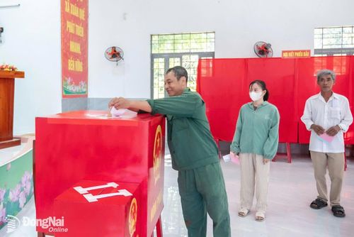 Ông Hoàng Ngọc Hùng, công nhân cao su bỏ phiếu bầu cử sau giờ cạo mủ. Ảnh: Xuân Lượng