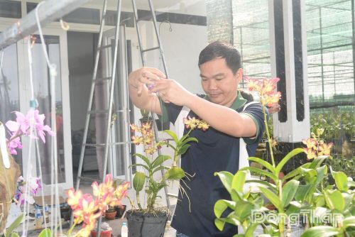 Theo anh Nhân, hoa lan được xem là loài hoa “quý tộc” bởi sự đa dạng về chủng loại, màu sắc và vẻ đẹp thanh nhã.