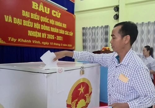 Cử tri bỏ phiếu bầu.