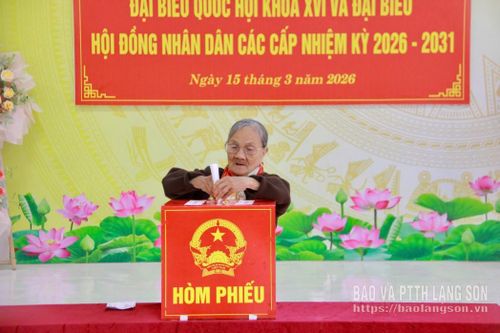 Cử tri cao tuổi thôn 8, xã Na Sầm bỏ phiếu bầu đại biểu Quốc hội khóa XVI, đại biểu HĐND các cấp nhiệm kỳ 2026 - 2031