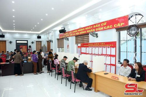 Các cử tri viết phiếu bầu cử.