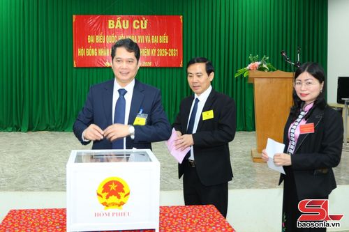 Các đại biểu thực hiện bỏ phiếu bầu
