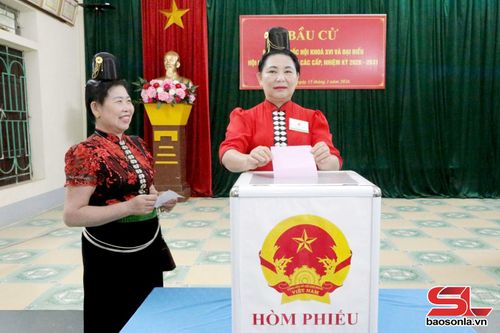 Cử tri tham gia bỏ phiếu.