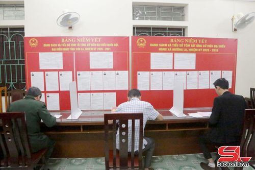 Cử tri thực hiện công tác ghi phiếu bầu cử.