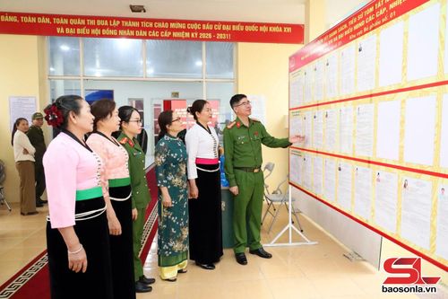 Cử tri tìm hiểu thông tin các ứng cử viên.