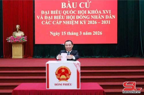 Đồng chí Trưởng ban Tổ chức Tỉnh ủy thực hiện quyền bỏ phiếu bầu cử.