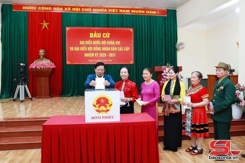 Cử tri bỏ phiếu tại khu vực bỏ phiếu số 17, phường Tô Hiệu