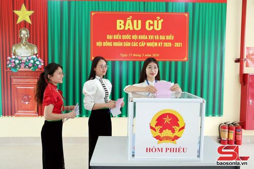 Sinh viên Trường Đại học Tây Bắc bỏ phiếu bầu cử. Ảnh: Thanh Huyền.