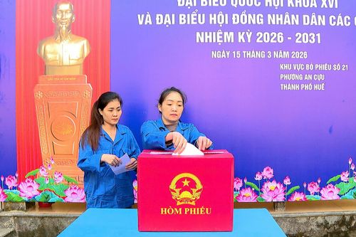 Việc bỏ phiếu bảo đảm quyền và nghĩa vụ của mình